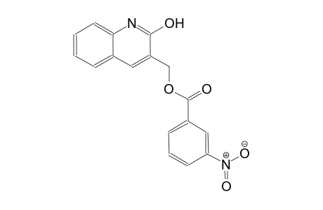 (2-hydroxy-3-quinolinyl)methyl 3-nitrobenzoate