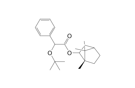 [(1S)-endo]-Bornyl 2-tert-Butoxyphenylacetate