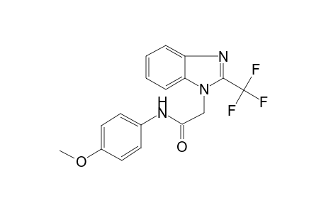 Acetamide, N-(4-methoxyphenyl)-2-(2-trifluoromethylbenzoimidazol-1-yl)-