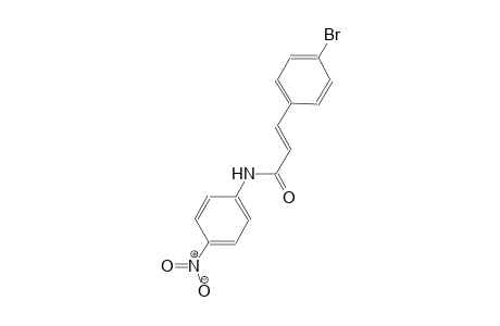 (2E)-3-(4-bromophenyl)-N-(4-nitrophenyl)-2-propenamide
