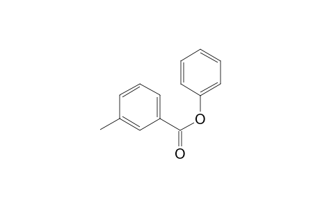 3-Methylbenzoic acid phenyl ester