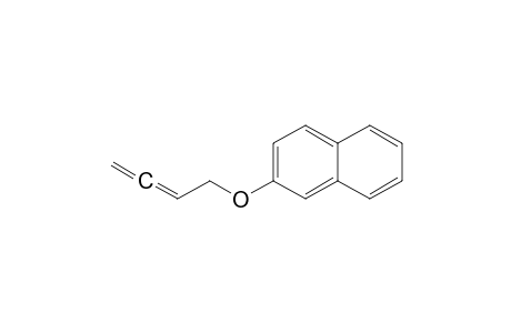 2-Buta-2,3-dienoxynaphthalene