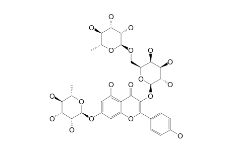 KAEMPFEROL-3-O-ALPHA-L-RHAMNOPYRANOSYL-(1->6)-BETA-D-GALACTOPYRANOSYL-7-O-ALPHA-L-RHAMNOPYRANOSIDE
