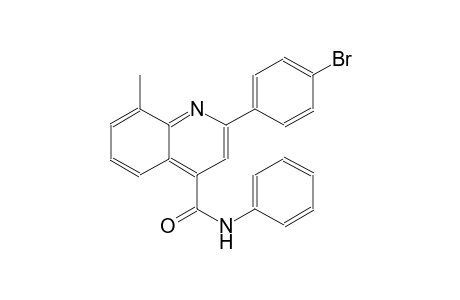 4-quinolinecarboxamide, 2-(4-bromophenyl)-8-methyl-N-phenyl-