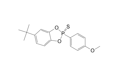 2-(4-Methoxyphenyl)-5-tert-butyl-1,3,2-benzodioxaphosphole 2-sulfide