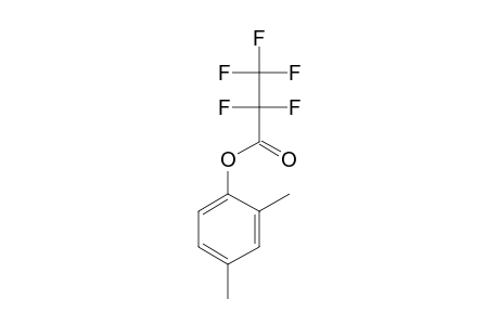 2,4-Dimethylphenyl pentafluoropropionate