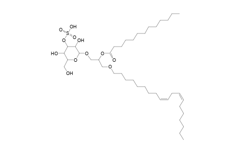 SMGDG O-19:2_13:0