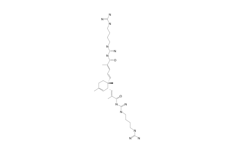 BISTELLETTADINE-A