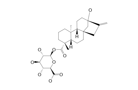 STEVIOL-GLUCURONIDE