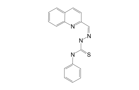 2-FORMYLQUINOLINE-N(4)-PHENYL-THIOSEMICARBAZONE