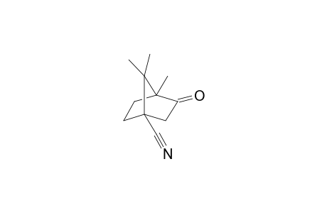 4-cyano camphor