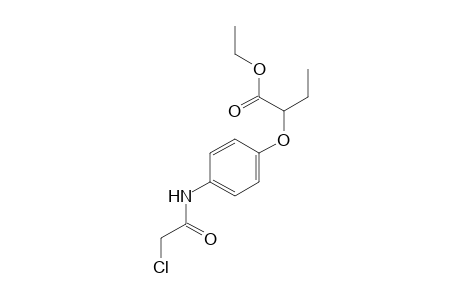 (+/-)Ethyl 2-[4-(2-chloroacetamido)phenoxy]butanoate