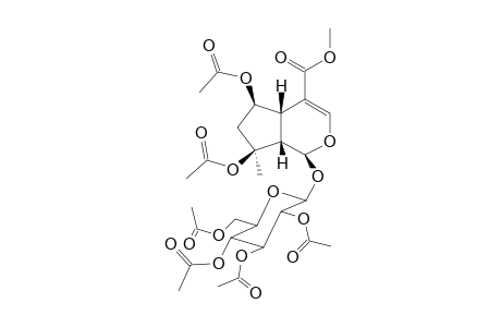 8-O-acetylshanzhiside methyl ester pentaacetate