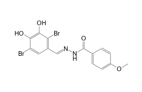 benzoic acid, 4-methoxy-, 2-[(E)-(2,5-dibromo-3,4-dihydroxyphenyl)methylidene]hydrazide