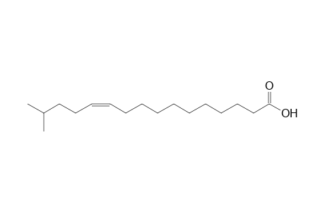 (Z)-15-Methylhexadec-11-enoic acid