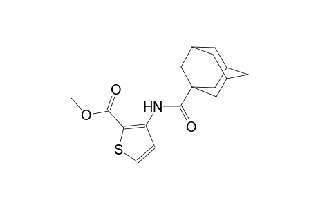 methyl 3-[(1-adamantylcarbonyl)amino]-2-thiophenecarboxylate