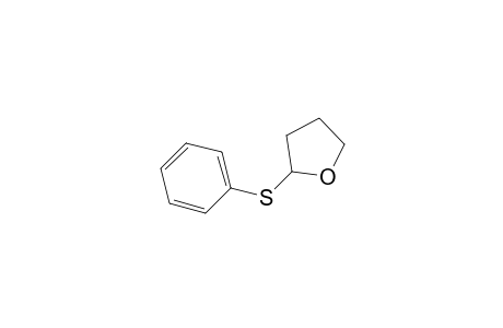 2-(Phenylthio)tetrahydrofuran