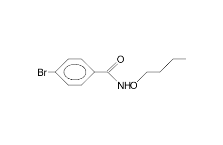 P-Bromo-benzohydroxamic acid, butyl ester