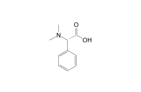 2-(dimethylamino)-2-phenyl-acetic acid