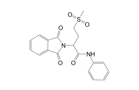 2-(1,3-dioxo-1,3-dihydro-2H-isoindol-2-yl)-4-(methylsulfonyl)-N-phenylbutanamide