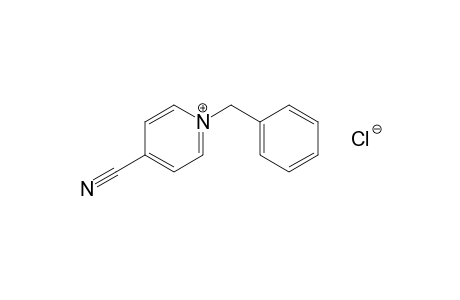 1-benzyl-4-cyanopyridinium chloride