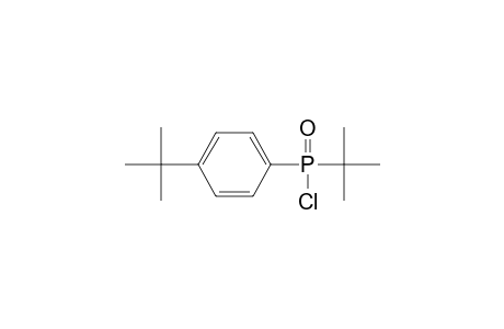 Phosphinic chloride, (1,1-dimethylethyl)[4-(1,1-dimethylethyl)phenyl]-