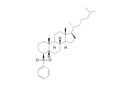 (4S,5S,8S,9S,10R,13R,14S,17R)-10,13-dimethyl-17-[(2R)-6-methylheptan-2-yl]-4-(phenylsulfonyl)-2,3,4,5,6,7,8,9,11,12,14,15,16,17-tetradecahydro-1H-cyclopenta[a]phenanthrene
