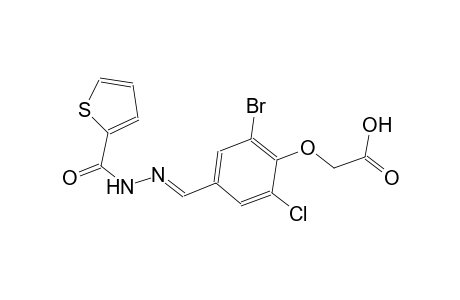 (2-bromo-6-chloro-4-{(E)-[(2-thienylcarbonyl)hydrazono]methyl}phenoxy)acetic acid