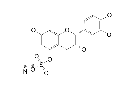 EPICATECHIN-5-SULFATE_AMMONIUM_SALT