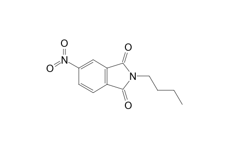 2-butyl-5-nitro-isoindoline-1,3-quinone