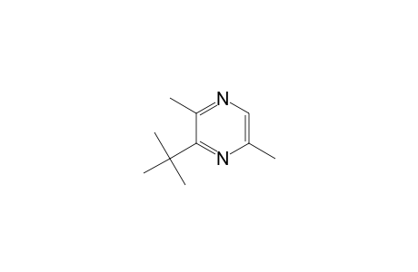 2-t-Butyl-3,6-dimethylpyrazine