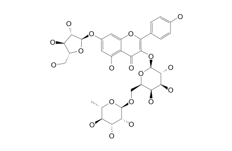 KAEMPFEROL-3-O-ALPHA-L-RHAMNOPYRANOSYL-(1->6)-BETA-D-GALACTOPYRANOSIDE-7-O-ALPHA-L-ARABINOFURANOSIDE