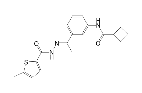 N-(3-{(1E)-N-[(5-methyl-2-thienyl)carbonyl]ethanehydrazonoyl}phenyl)cyclobutanecarboxamide