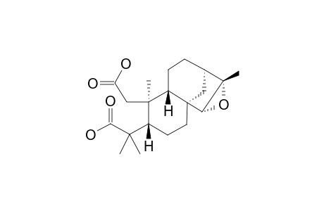 ORYZALIC-ACID-A;15,16-EPOXY-2,3-SECOKAURAN-2,3-DIOIC-ACID