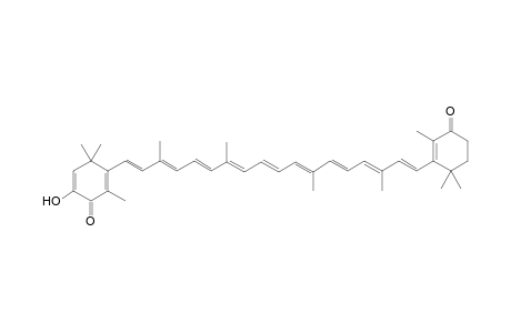 2,4,4-trimethyl-6-oxidanyl-3-[(1E,3E,5E,7E,9E,11E,13E,15E,17E)-3,7,12,16-tetramethyl-18-(2,6,6-trimethyl-3-oxidanylidene-cyclohexen-1-yl)octadeca-1,3,5,7,9,11,13,15,17-nonaenyl]cyclohexa-2,5-dien-1-one