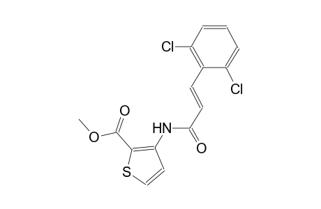 methyl 3-{[(2E)-3-(2,6-dichlorophenyl)-2-propenoyl]amino}-2-thiophenecarboxylate