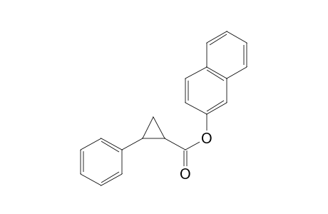 Cyclopropanecarboxylic acid, trans-2-phenyl-, naphth-2-yl ester