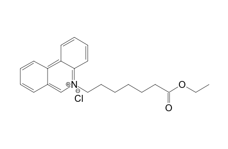N-[6-(Ethoxycarbonyl)hexyl]phenanthridinium chloride