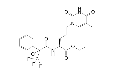 Ethyl (2S)-Amino-5-(1-thyminyl)pentanoate (S)-MTPA amide