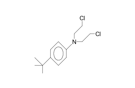 N,N-Bis(2-chloro-ethyl)-4-tert-butyl-aniline