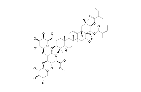 ACUTANGULOSIDE-F-METHYLESTER;3-O-BETA-D-XYLOPYRANOSYL-(1->3)-[BETA-D-GALACTOPYRANOSYL-(1->2)]-BETA-D-METHYLGLUCURONOPYRANOSYL-21,22-O-TIGLOYL