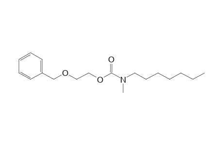 Carbamic acid, N-methyl-N-heptyl-, 2-benzyloxyethyl ester