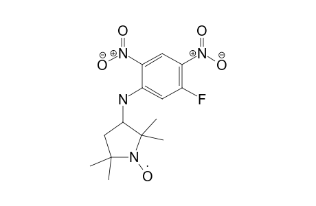 3-(5-Fluoro-2,4-dinitroanilino)-proxyl, free radical