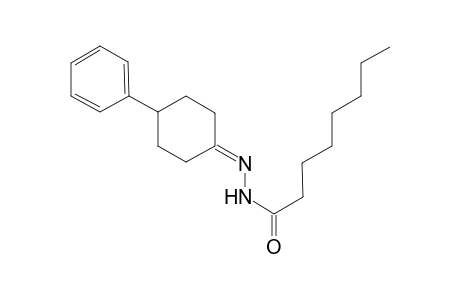 N'-(4-Phenylcyclohexylidene)octanohydrazide
