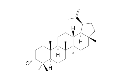 LUPEPORTLANDOL;3-ALPHA-HYDROXY-19-ALPHA-H-LUP-20(29)-ENE