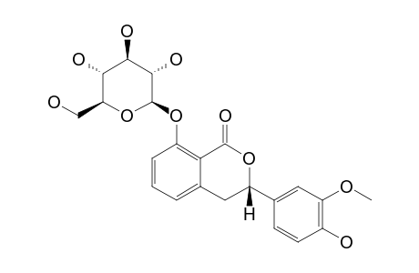THUNBERGINOL-I-8-O-GLUCOPYRANOSIDE