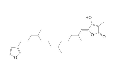 1-(3'-Furyl)-13-(5"-oxo-4"-methyl-3''-hydroxy-2",5"-dihydro-2"-furyl)-4,8,12-trimethyl-trideca-3,7-dienyl-13-ylidene