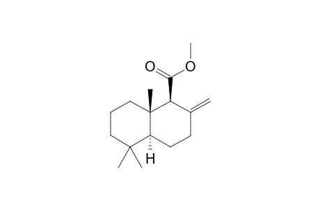 Methyl (1.beta.,4a.alpha.,8a.beta.)-Decahydro-5,5,8a-trimethyl-2-methylenenaphthalene-1-carboxylate((+-)-Methyl Albicanate)
