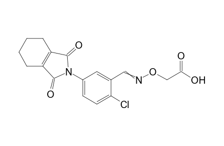 Acetic acid, [[[[2-chloro-5-(1,3,4,5,6,7-hexahydro-1,3-dioxo-2H-isoindol-2-yl)phenyl]methylene]amino]oxy]-