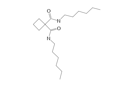 N,N'-DIHEXYL-1,1-CYCLOBUTANEDICARBOXAMIDE